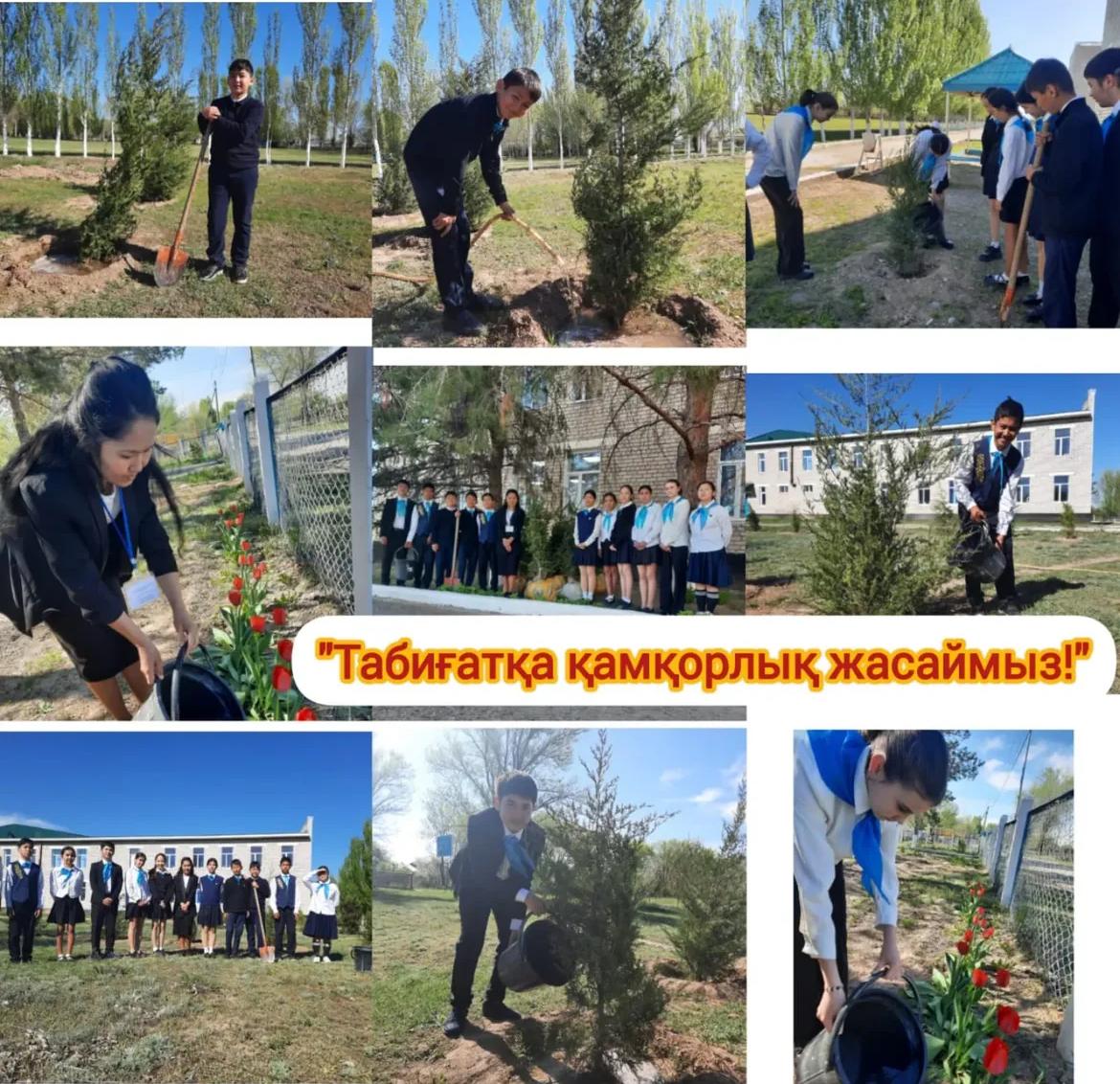 Табиғатқа қамқорлық жасаймыз